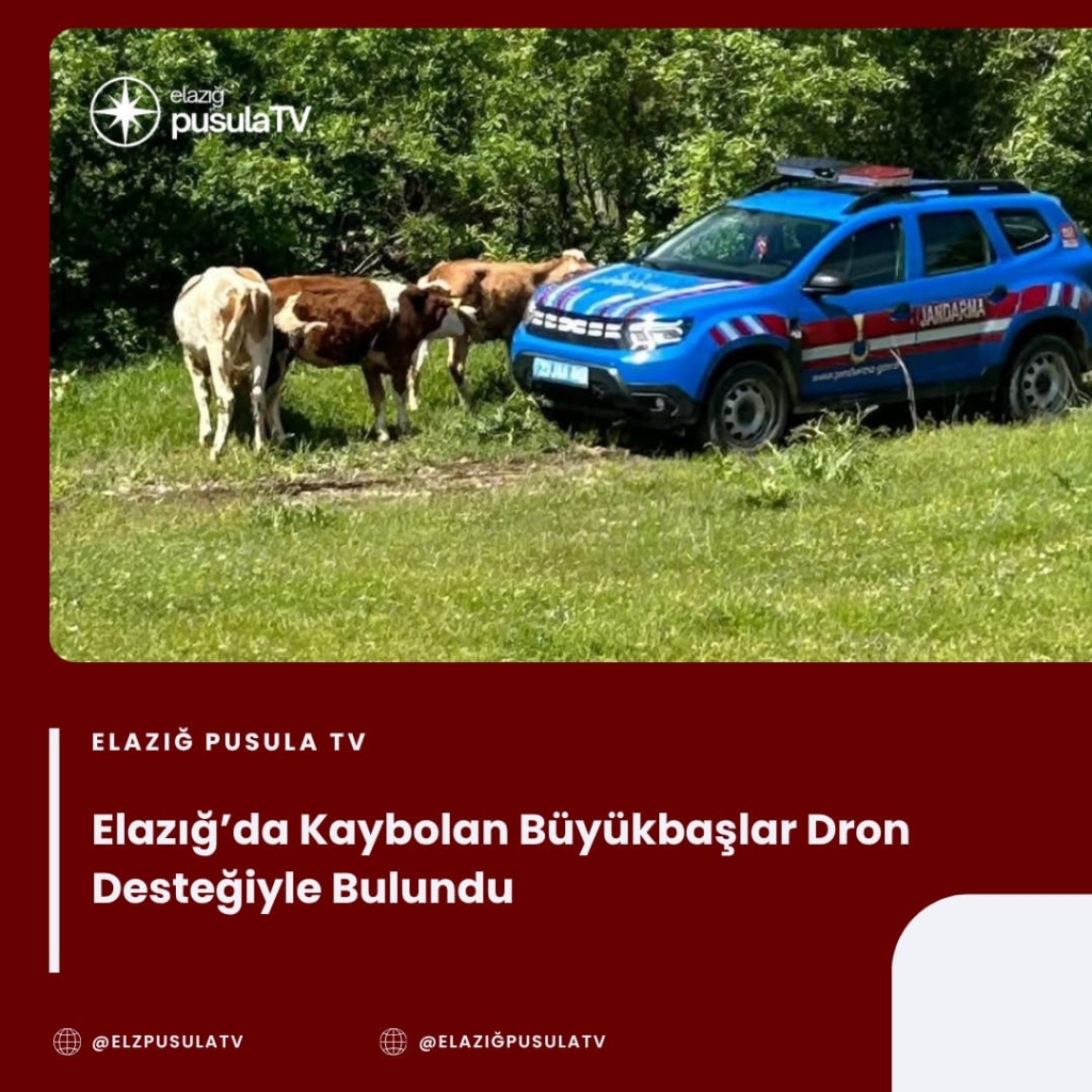 featured