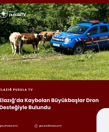 60c7efa6-82d2-43ee-859b-bfd2004f2fb2
